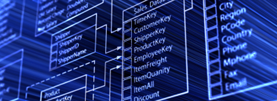 Custom database software and project management software